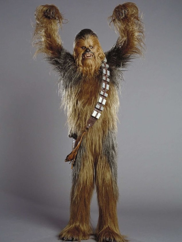 Chewbacca'nın nasıl göründüğünü unuttuysanız filan 👇