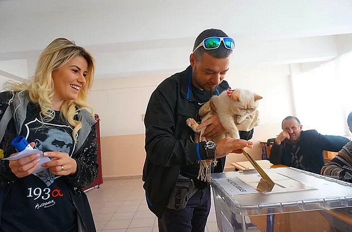 Kedisi, Yöresel Kıyafeti ve Tekerlekli Sandalyesi ile Gelenler: İşte Tüm Yurttan Referandum Manzaraları