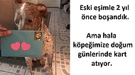 Eski Eşiyle Birlikte Sahiplendikleri Köpeğe Her Doğum Gününde Kart Atan Baba Gibi Baba!