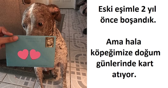 Eski Eşiyle Birlikte Sahiplendikleri Köpeğe Her Doğum Gününde Kart Atan Baba Gibi Baba!