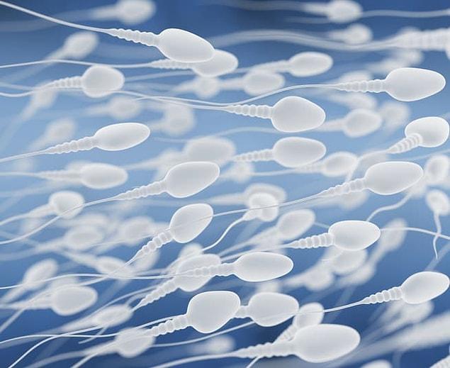 First, there are millions of sperm in just a tiny bit of ejaculate — we're talking 20 million sperm per 1 mL of semen, and the average male ejaculates 3.5 mL each time.