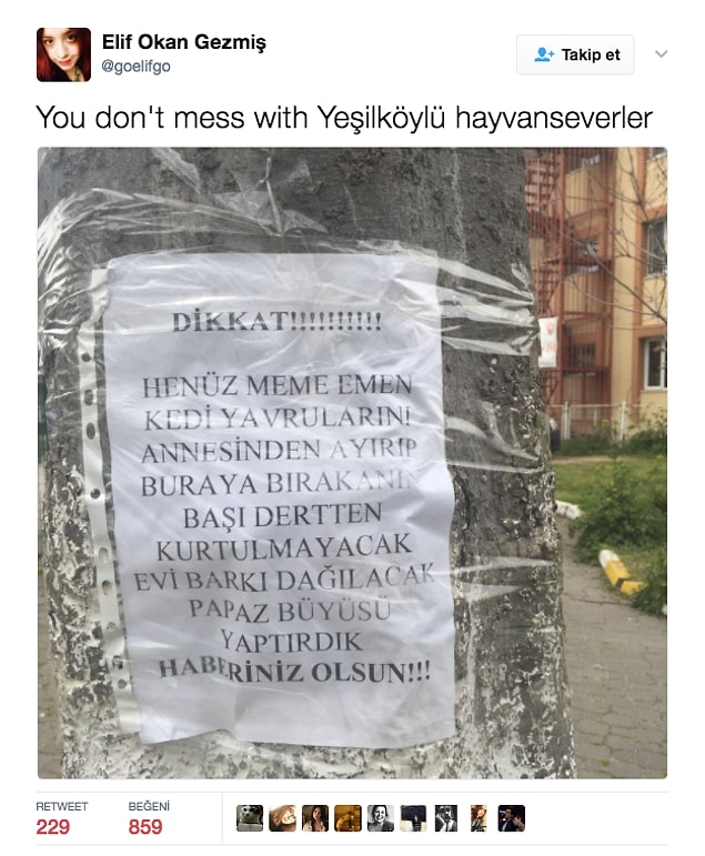 10.