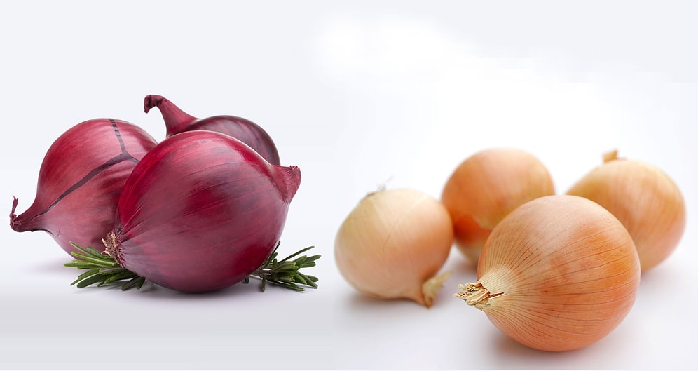"Эх, лук, лучок...": вся польза лука в одной статье