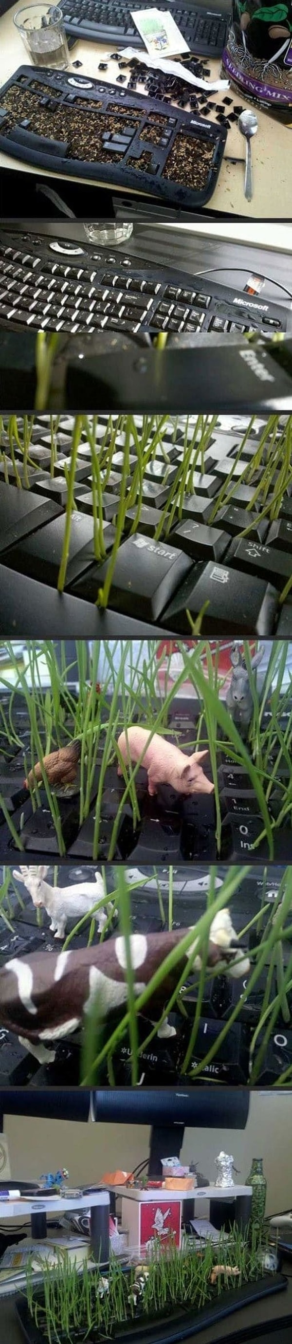 16. Долгоиграющий пранк