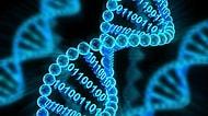 Dünyadaki Her Canlının Hammaddesi DNA Hakkında Sizi Şaşırtacak 19 Enteresan Bilgi