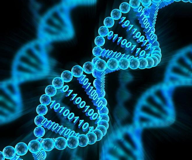 Dünyadaki Her Canlının Hammaddesi DNA Hakkında Sizi Şaşırtacak 19 Enteresan Bilgi