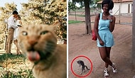 29 Cats Hilariously Photobombing Purrfect Shots Of Humans!