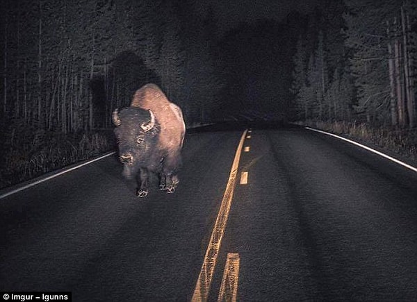 14. Чувак, у меня тачка сломалась, подвезешь?