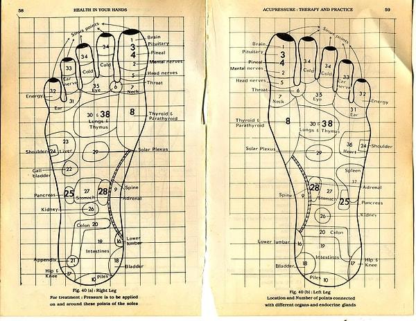 Ve ayak parmaklarımızın tümünde farklı organları temsil eden meridyen noktaları yer almaktadır.