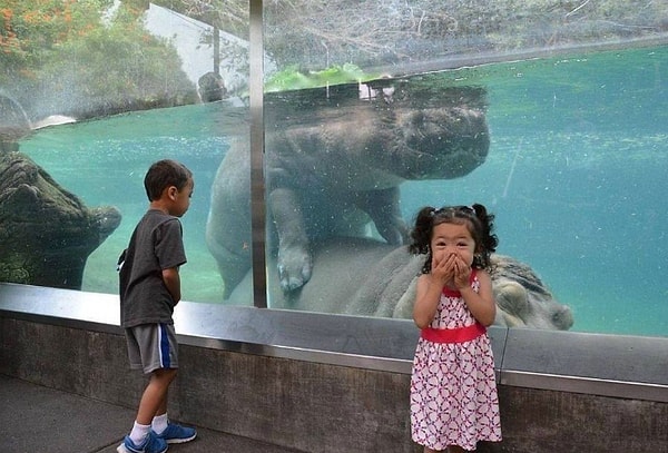 8. И не стыдно же...