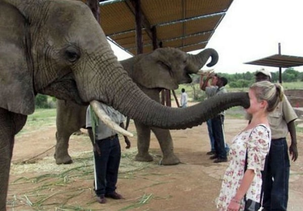 11. Иди, поцелую!