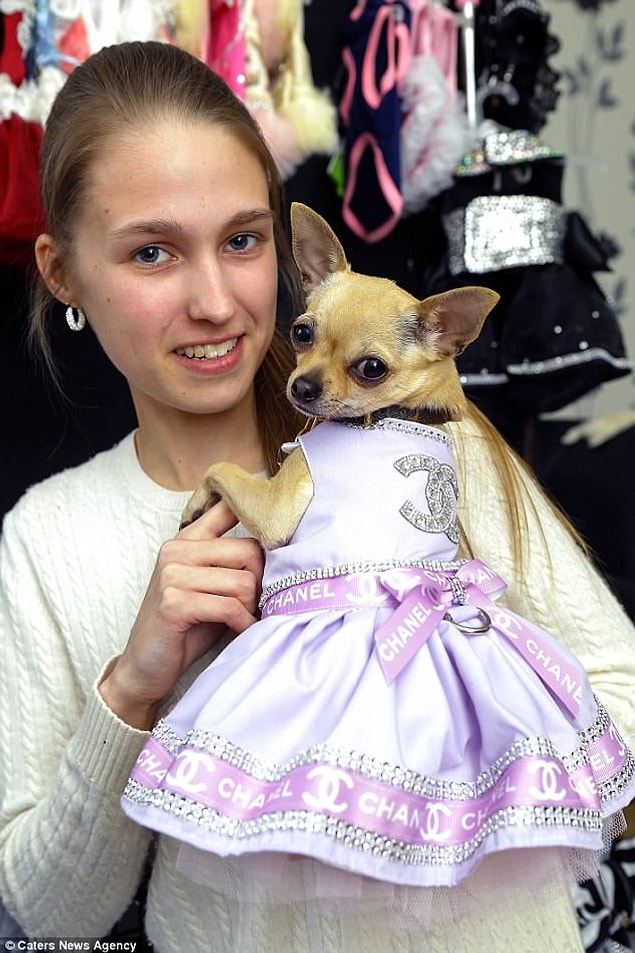 Birçok insandan daha çok tasarım kıyafeti var. Bunlardan biri de Louis Vuitton tasması.