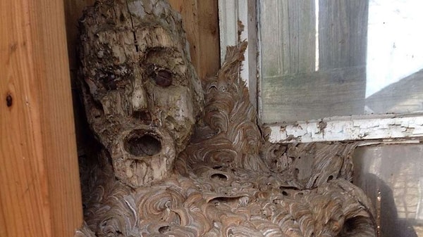 4. А самое странное то, что на гнездо это сооружение похоже меньше всего!