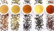 Чайная пауза: польза и вред 10 самых популярных видов чая