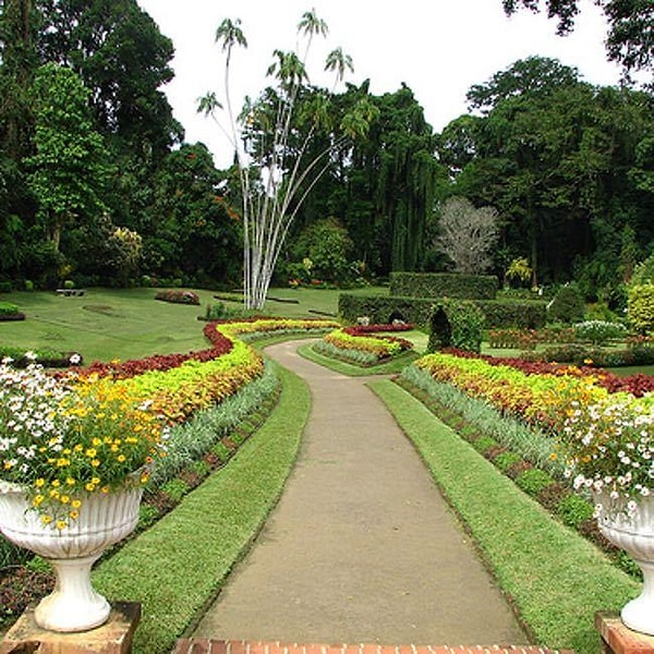 5. Пойти гулять в ботанический сад