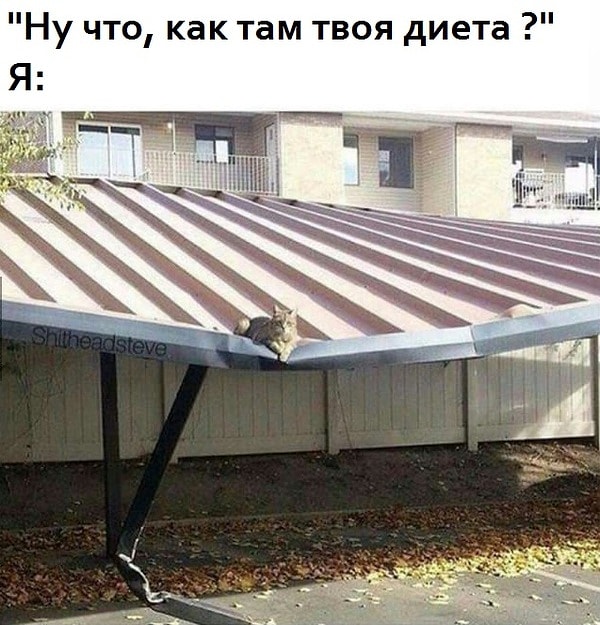 4. Не задавайте больше такие вопросы