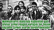 Milyonlarca İnsanın İşkencelerle Öldürüldüğü Auschwitz Hakkında 19 Dehşet Verici Bilgi