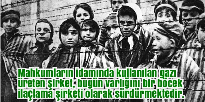 Milyonlarca İnsanın İşkencelerle Öldürüldüğü Auschwitz Hakkında 19 Dehşet Verici Bilgi