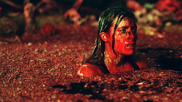 13. Спуск (2005)