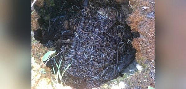 2. Представьте, что вы столкнулись с этим в реальной жизни... Переживете?