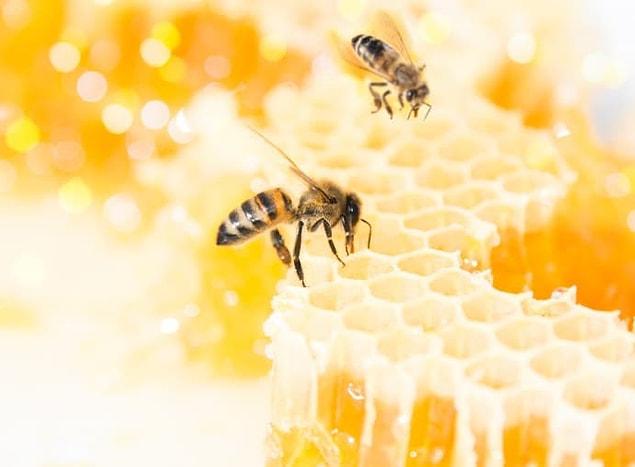 10. If bees were paid minimum wage for their labor, a jar of honey would cost $182,000.