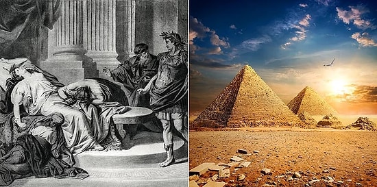 Prepare Your Brain, Because These 19 Real Facts Will Hurt It!