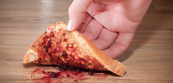 5. Вы бы съели еду, которая упала на пол?