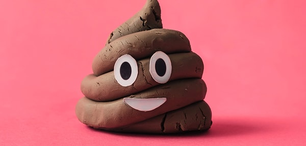 10. Вы можете без стеснения говорить о своих экскрементах?