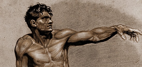 Bu Anatomi Testinden Geçemeyenler Kendinden Utanıyor!