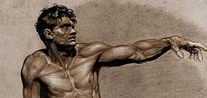 Bu Anatomi Testinden Geçemeyenler Kendinden Utanıyor!