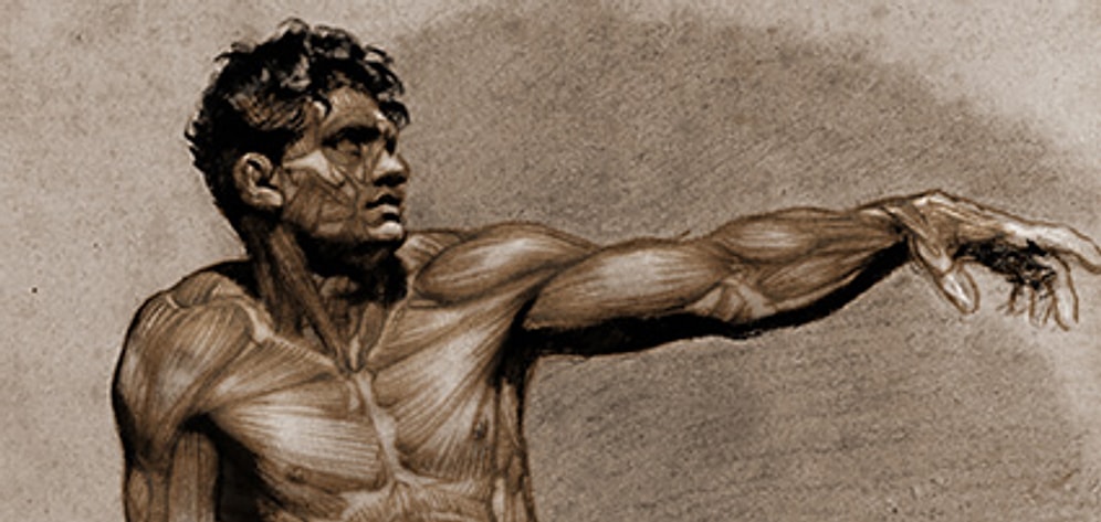 Bu Anatomi Testinden Geçemeyenler Kendinden Utanıyor!