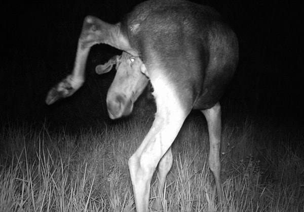 20. "С такого ракурса я красивее!"