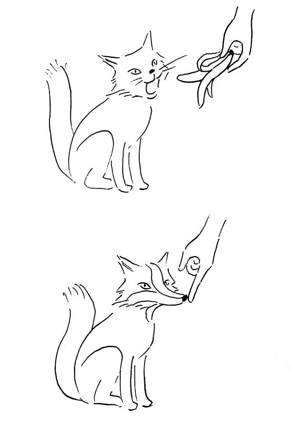 15. Как стать лисой