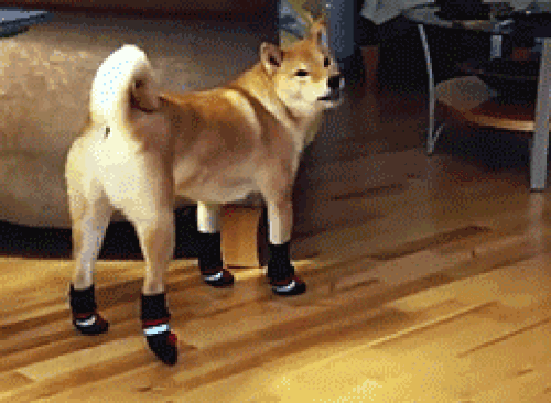 Wear socks.