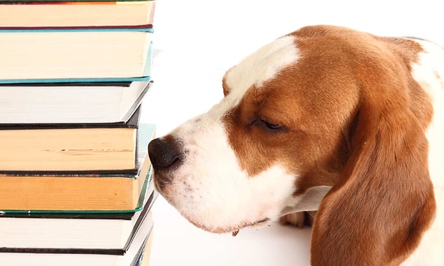 10. Kitap kokusuna bayılmanın aslında literatürde bir adı vardır.