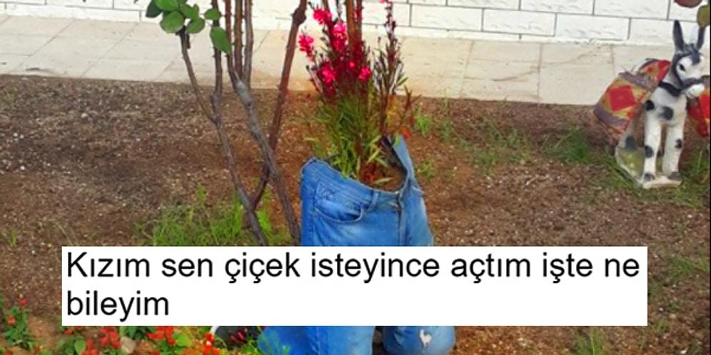 Her Ne Yapıyorsanız Bırakıp Okumaya Başlamanız Gereken Haftanın En Komik 19 Tweet'i