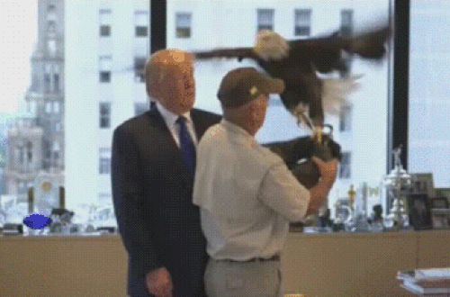 And then there is that unpleasant encounter with a bald eagle during a 2015 photo shoot for Time’s Person Of The Year.