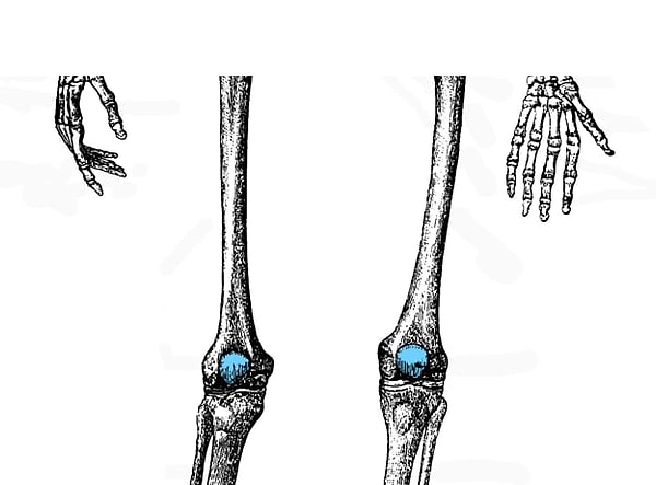 10. Тут вы должны без труда выбрать правильный ответ