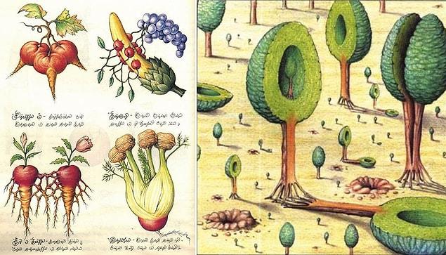 Codex Seraphinianus Plants
