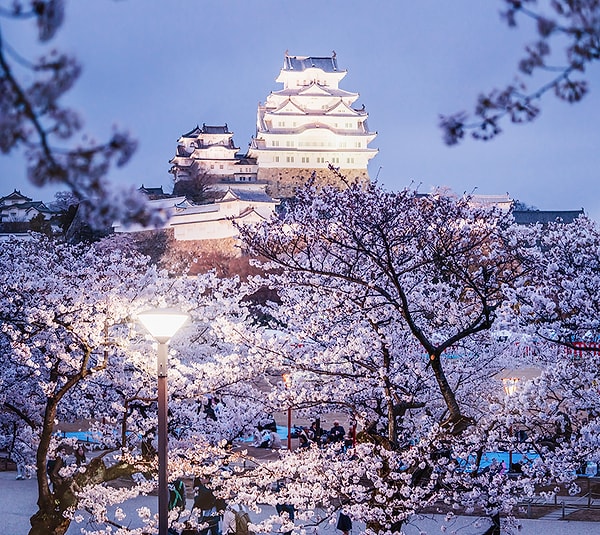 9. Замок Химэдзи (Замок белой цапли)