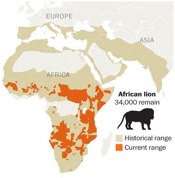 2. Afrika aslanlarının geçmişteki ve günümüzdeki dağılımı