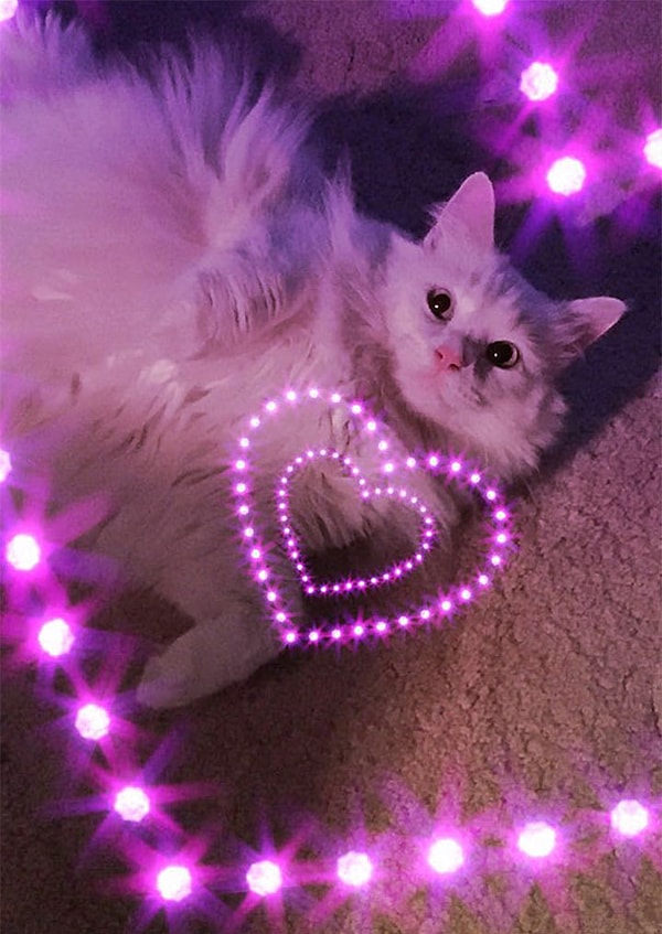 9. "Моя мама открыла для себя Snapchat, и вот что она мне присылает уже в течение нескольких дней"