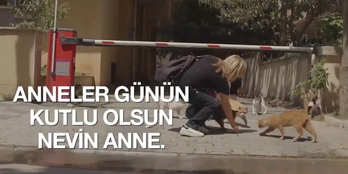 Bu Anneler Günü Sadece Çocuğu Olan Annelerin Değil, Kalbi Kediler İçin Anne Gibi Atan Tüm Kadınların Günü!
