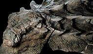 Ученые обнаружили огромную мумию динозавра в Канаде