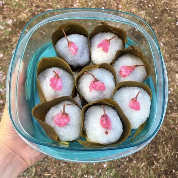 8. Sakura Mochi