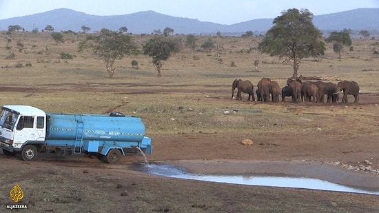 Kuraklıkta Susuz Kalan Hayvanlar İçin Kiralık Araçla 70 Kilometre Yol Giderek Su Götüren Adam