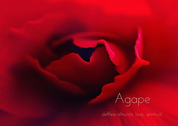 6. Agape (Bencil Olmayan Aşk)