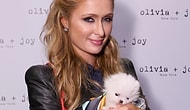 15 Insane But True Things You Never Knew About Paris Hilton!