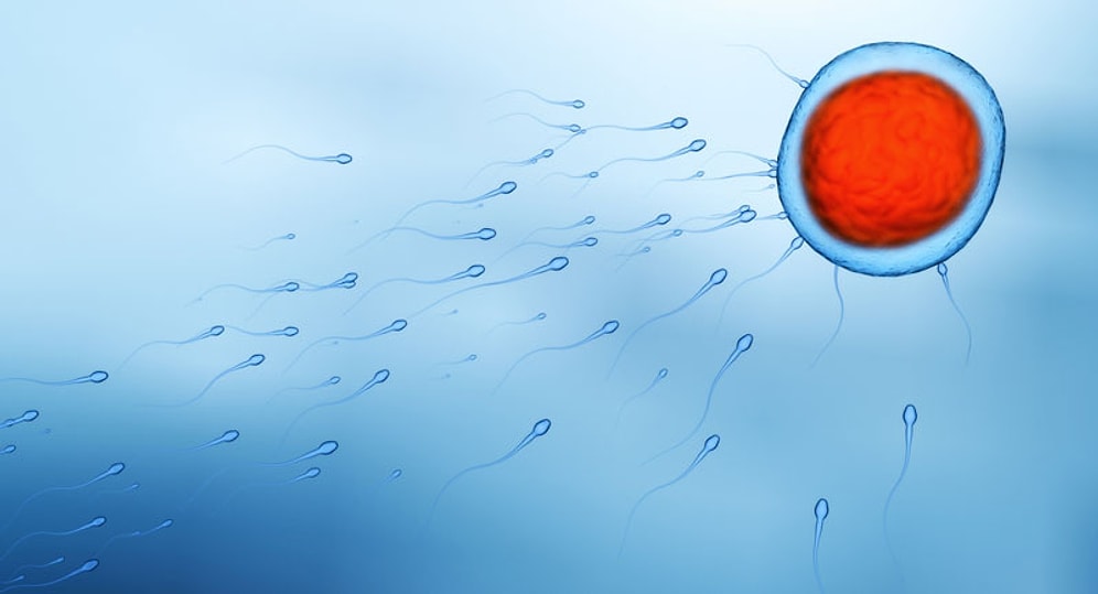17 Facts About Sperm That'll Shock The Semen Out Of You!