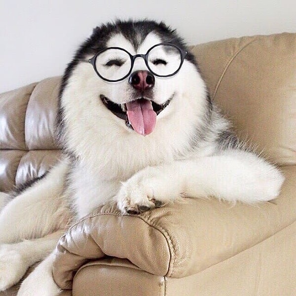 4. Не говоря уже о шикарной улыбке.